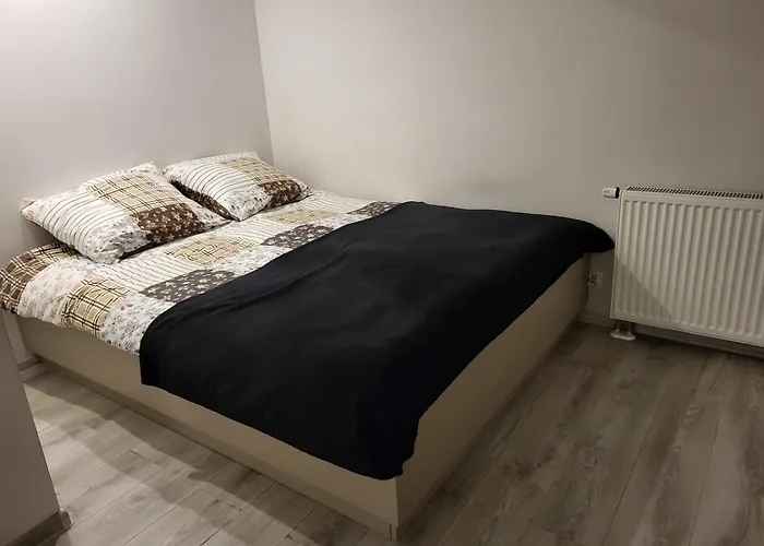 Anastasiia Čenstochová